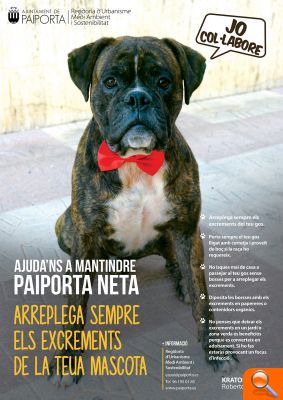 Paiporta repartirá miles de trípticos, bolsas y cajas para concienciar a la población y contribuir a la recogida de excrementos de mascotas - (foto 3)
